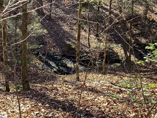 $75,000 | 0 Saw Mill Road, Marietta, SC 29661