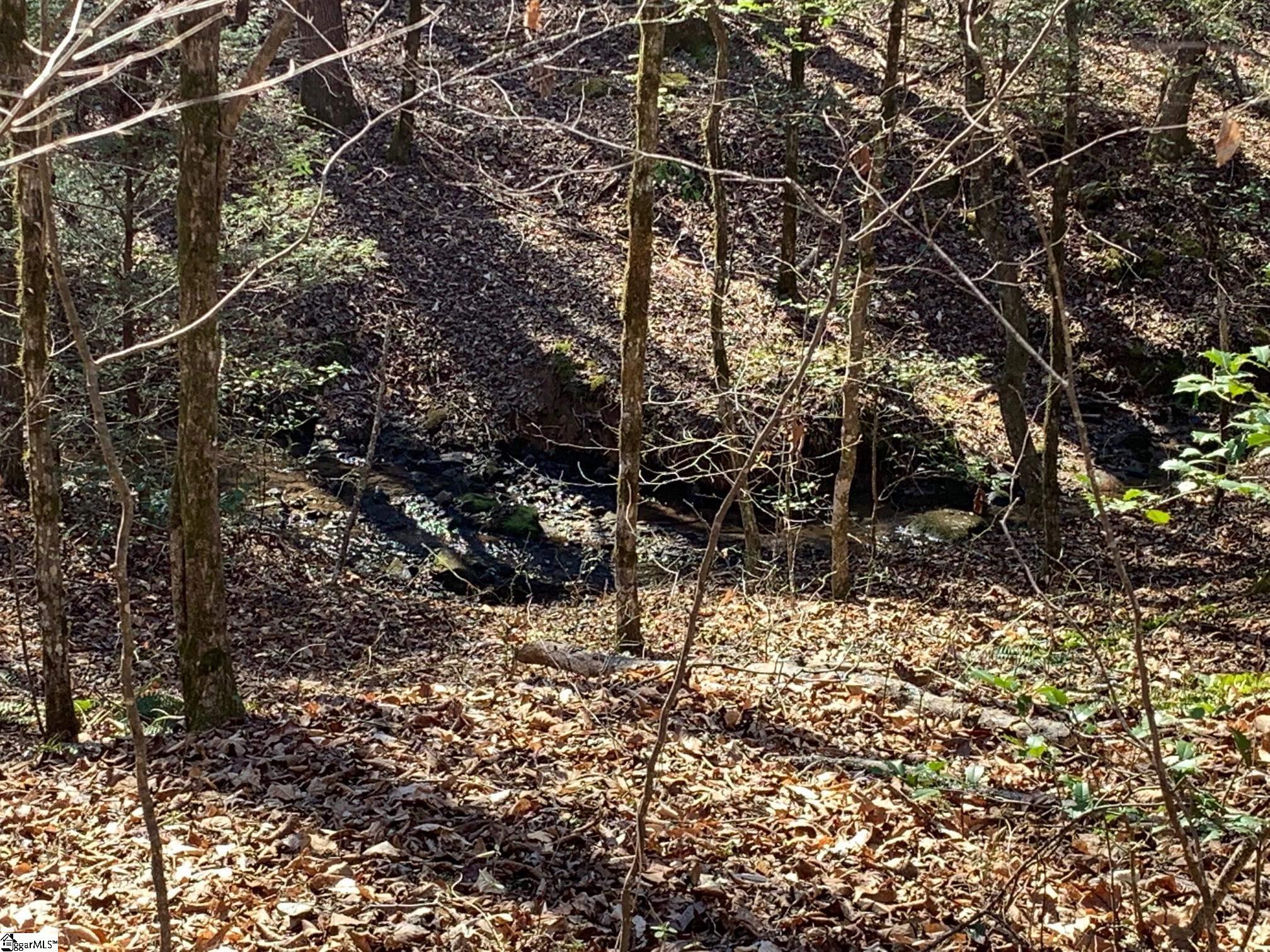 0 Saw Mill Road Marietta, SC 29661 - Photo 8 of 13