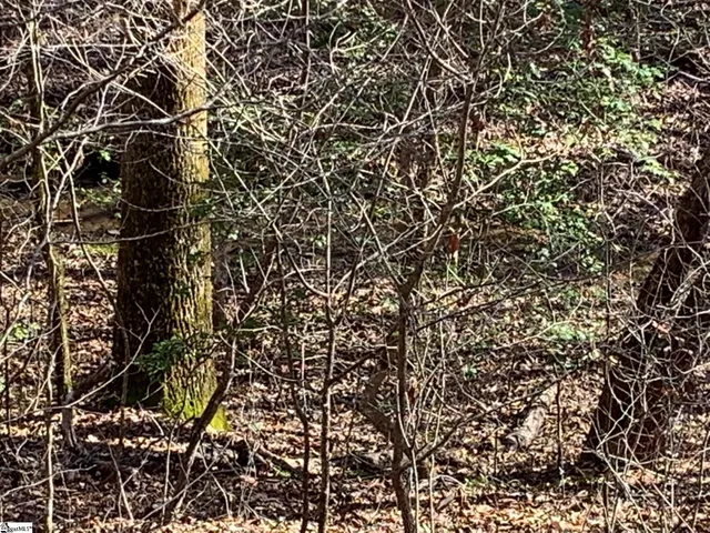 $75,000 | 0 Saw Mill Road, Marietta, SC 29661