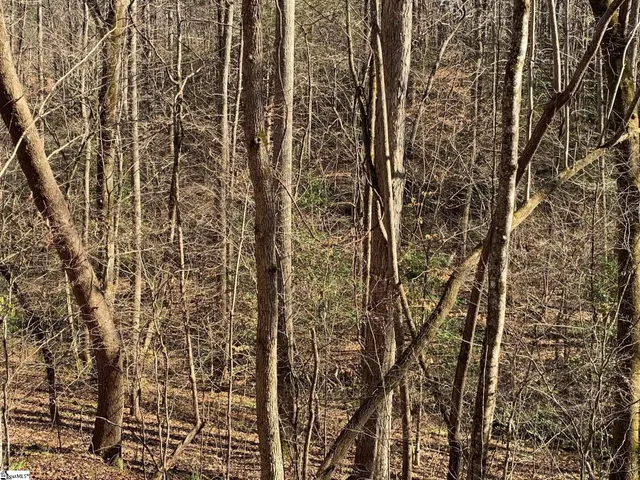 $75,000 | 0 Saw Mill Road, Marietta, SC 29661