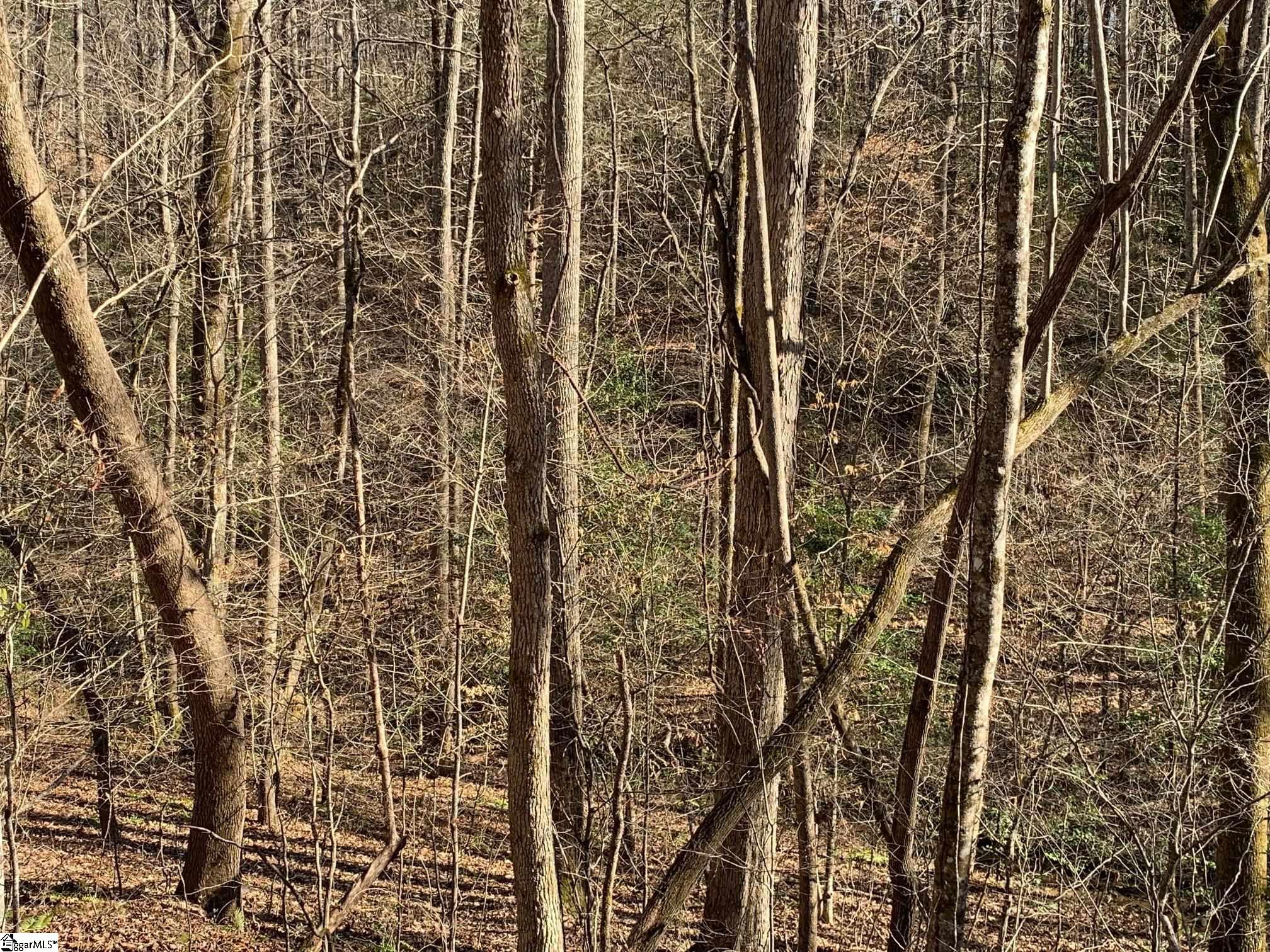 0 Saw Mill Road Marietta, SC 29661 - Photo 10 of 13