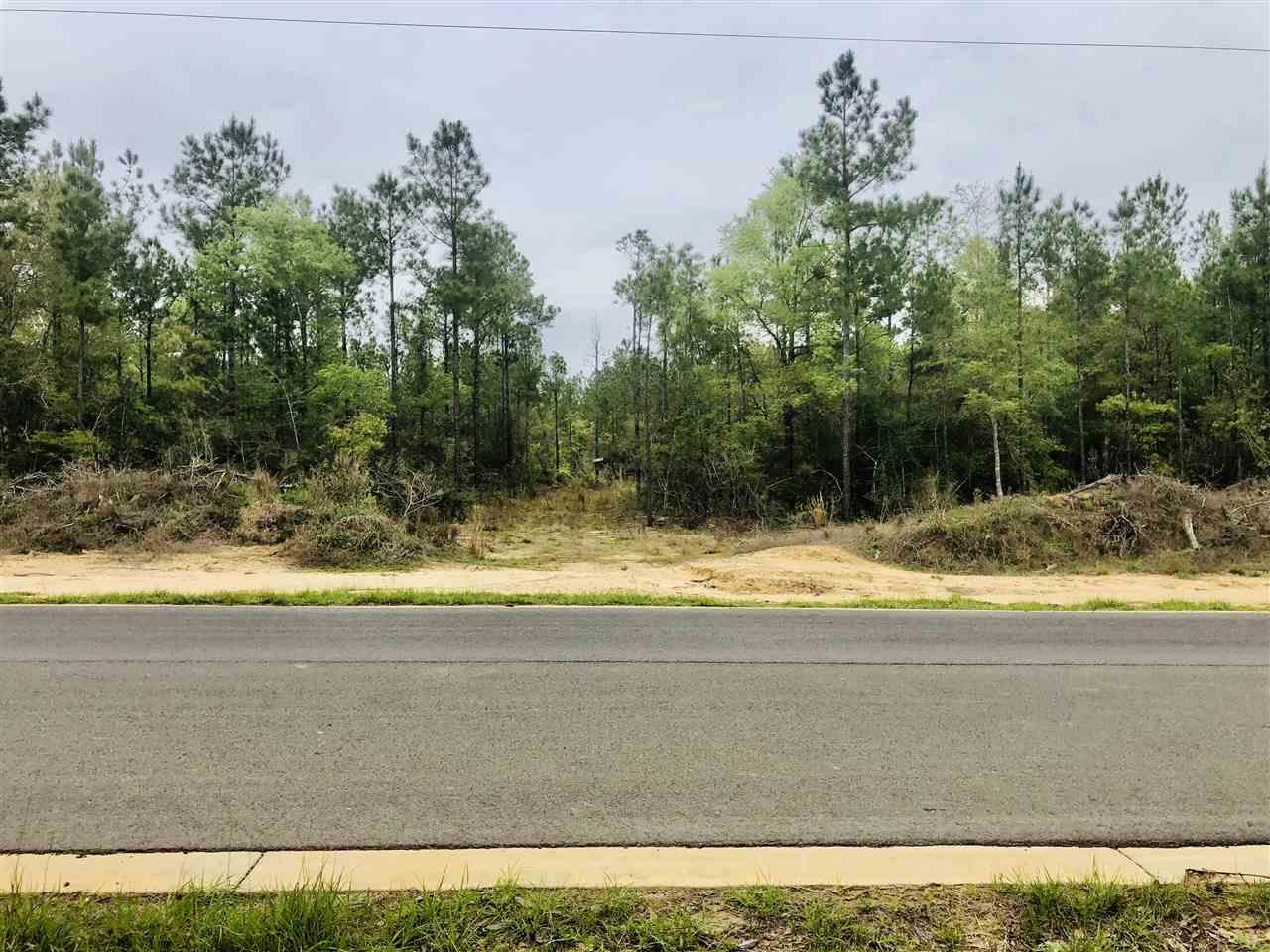 Lot 2 Molino Bridge Road Pace, FL 32571 - Photo 3 of 10
