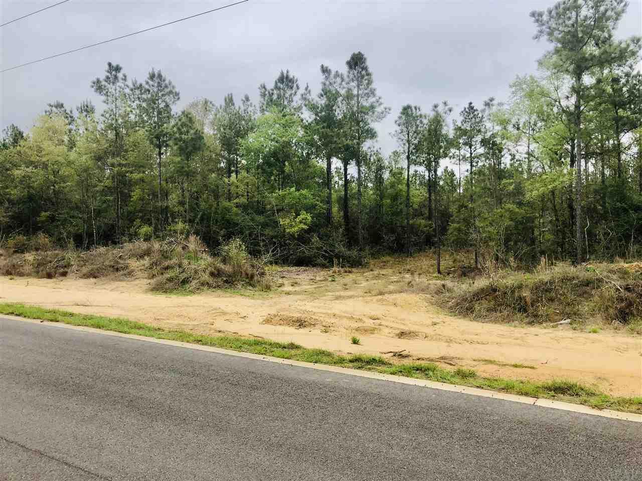 Lot 2 Molino Bridge Road Pace, FL 32571 - Photo 4 of 10