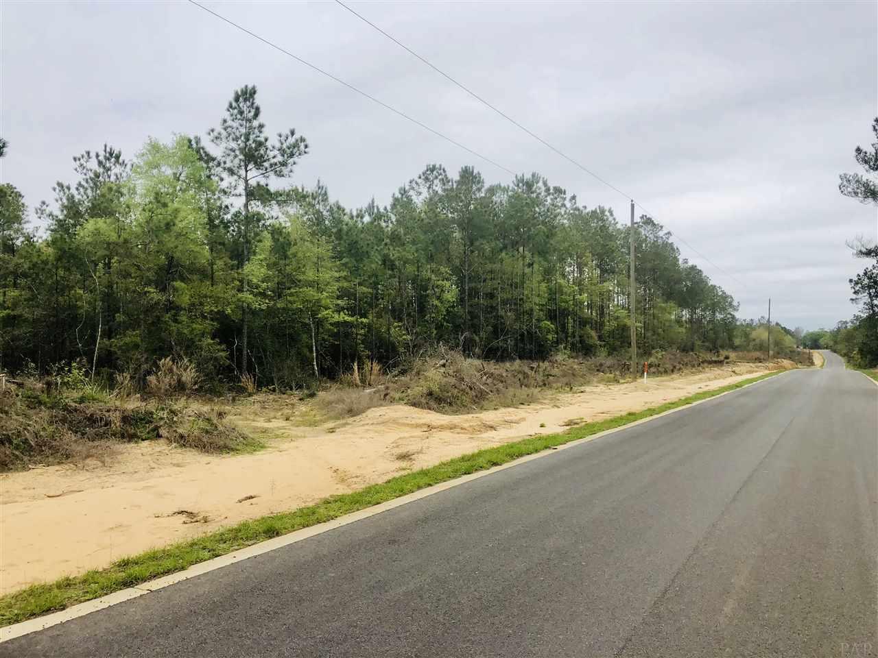 Lot 2 Molino Bridge Road Pace, FL 32571 - Photo 5 of 10