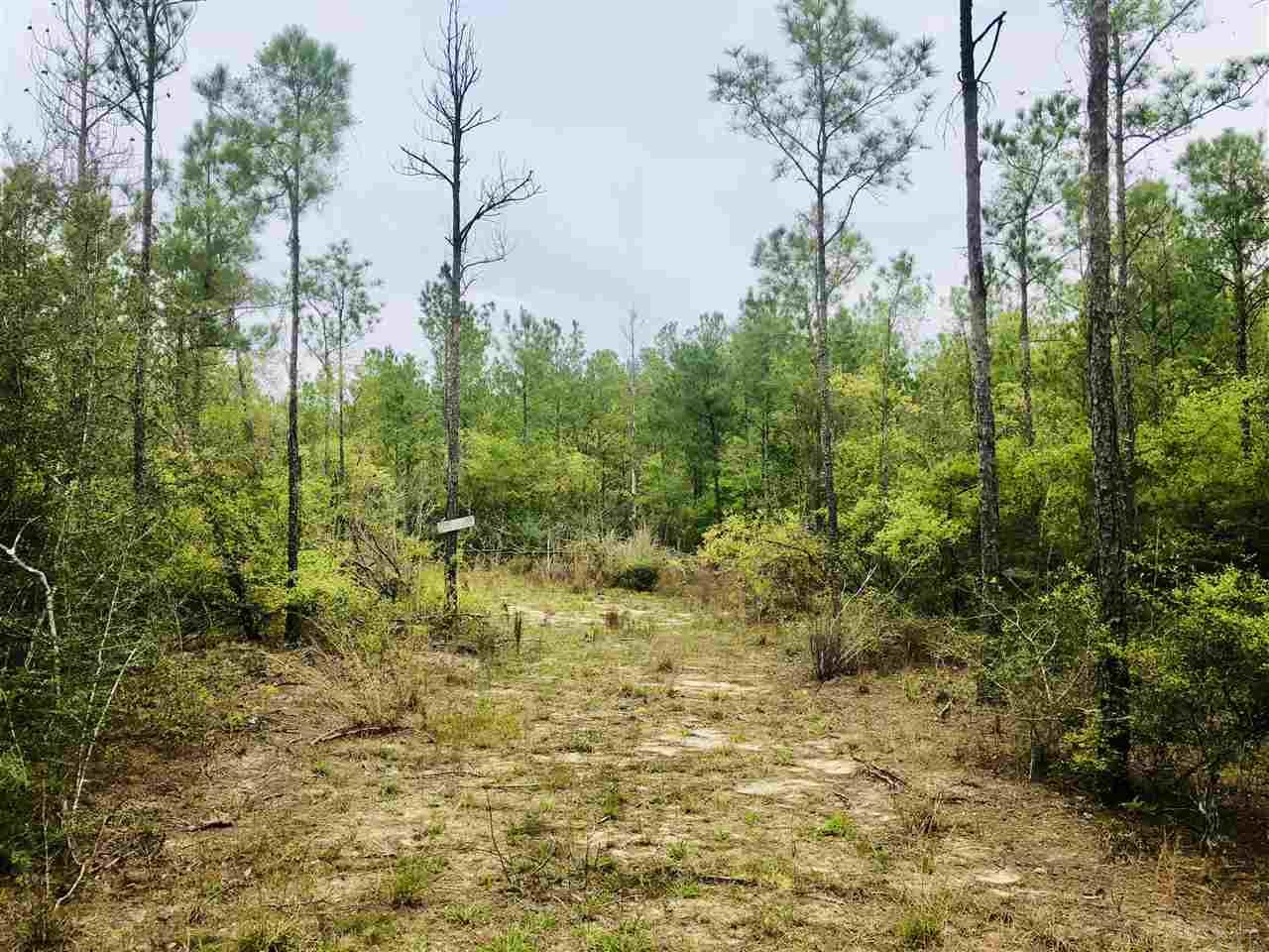Lot 2 Molino Bridge Road Pace, FL 32571 - Photo 7 of 10