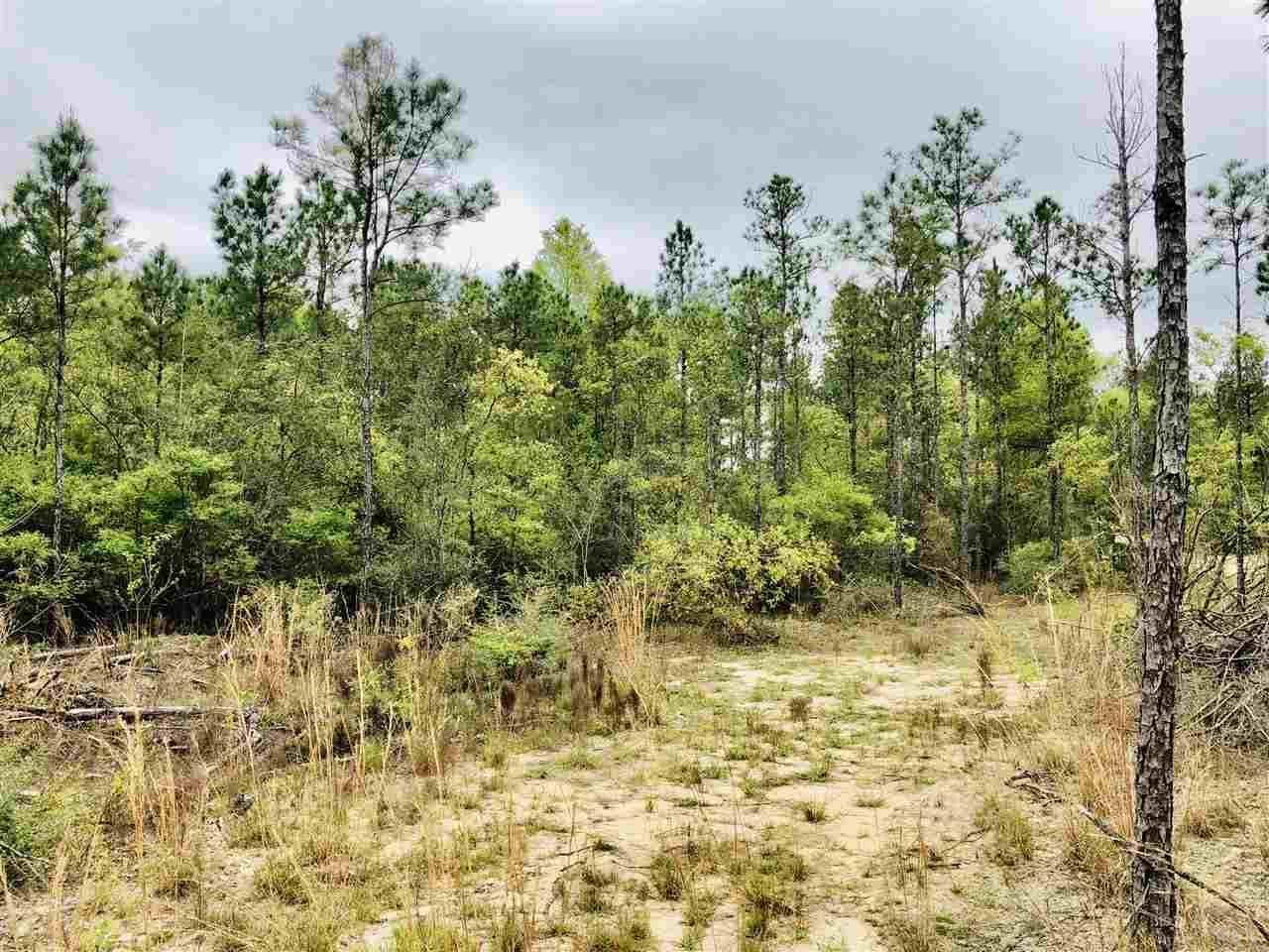 Lot 2 Molino Bridge Road Pace, FL 32571 - Photo 8 of 10