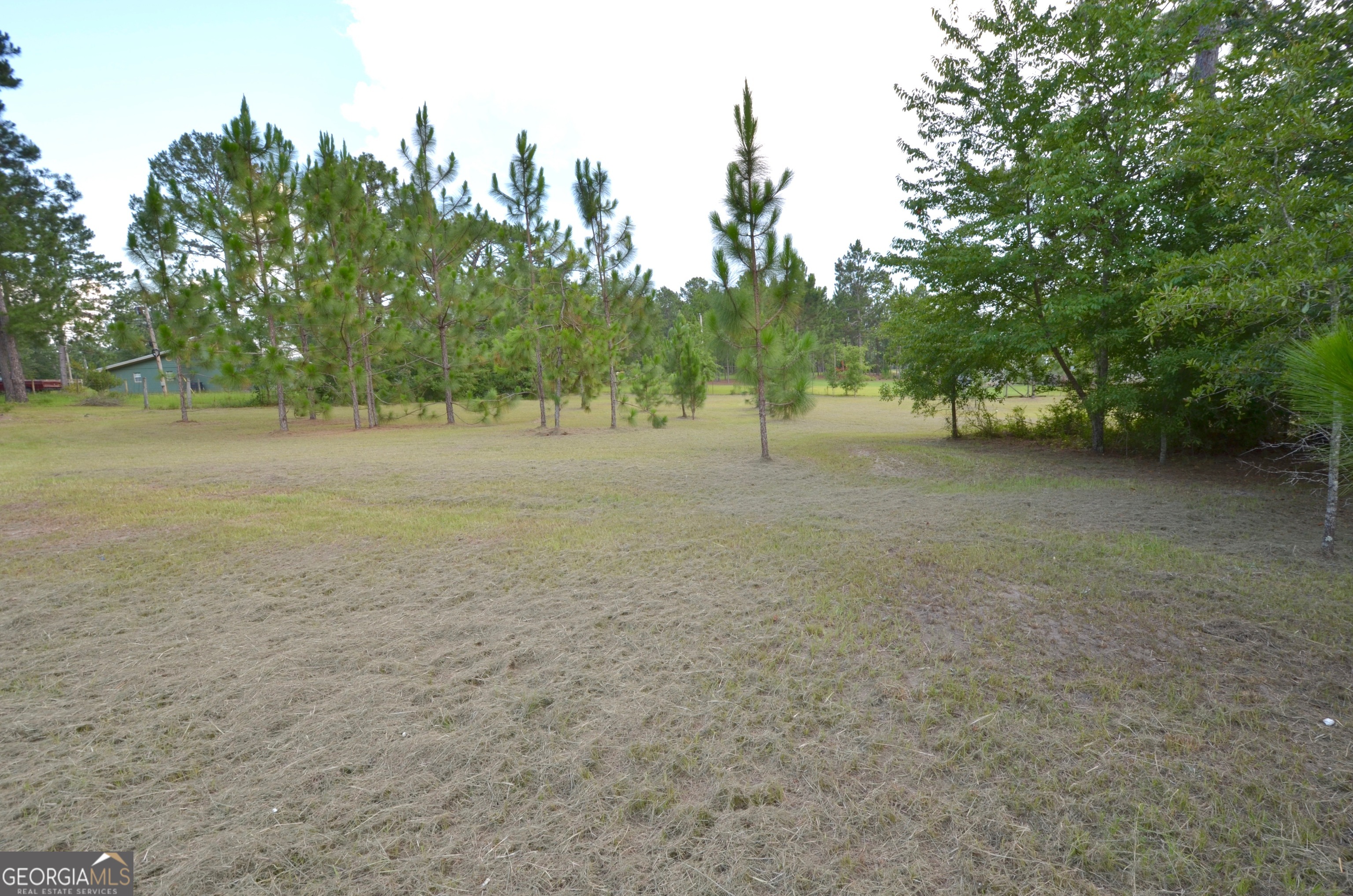 859 Silver Road East Dublin, GA 31027 - Photo 66 of 74