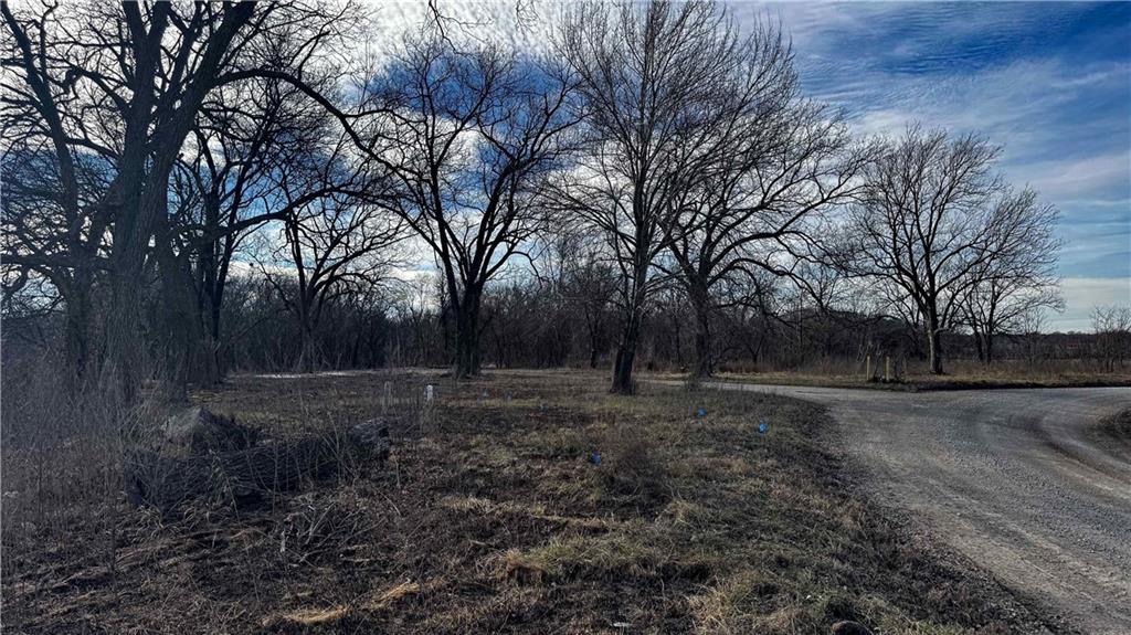 4 Rt Butler, MO 64730 - Photo 20 of 48