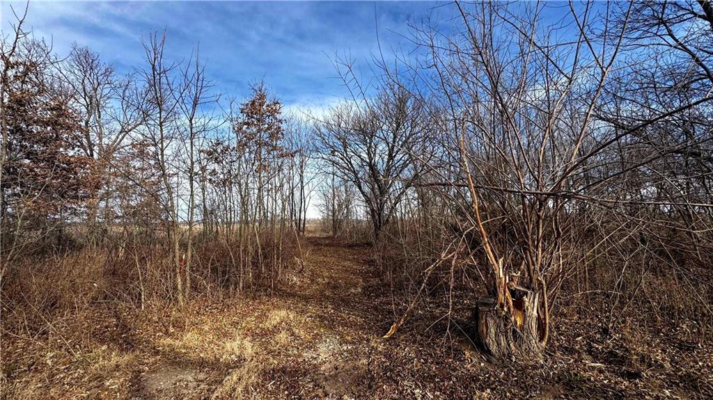 4 Rt Butler, MO 64730 - Photo 30 of 48