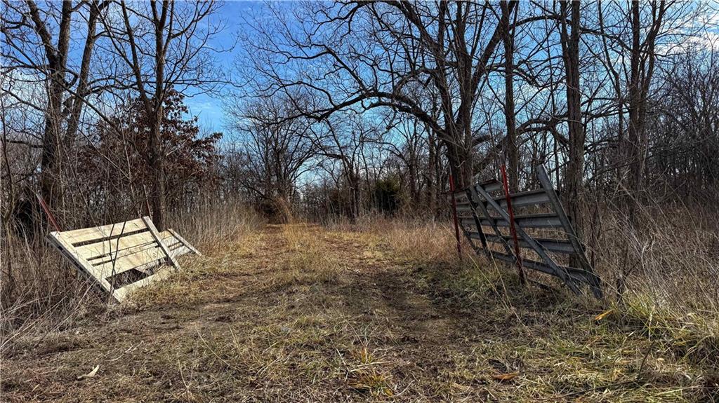 4 Rt Butler, MO 64730 - Photo 32 of 48