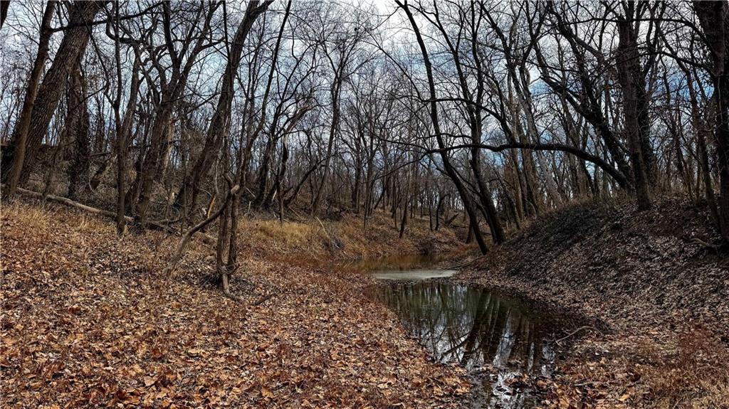 4 Rt Butler, MO 64730 - Photo 41 of 48