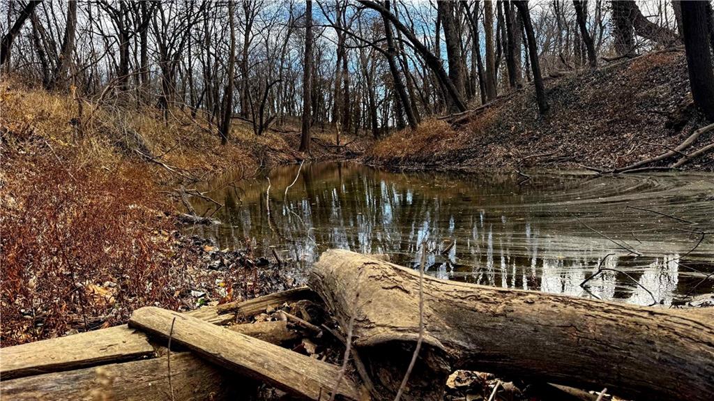 4 Rt Butler, MO 64730 - Photo 42 of 48