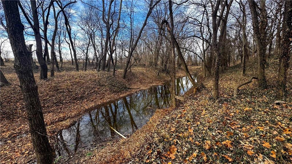 4 Rt Butler, MO 64730 - Photo 43 of 48