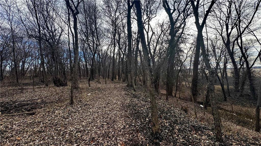 4 Rt Butler, MO 64730 - Photo 44 of 48