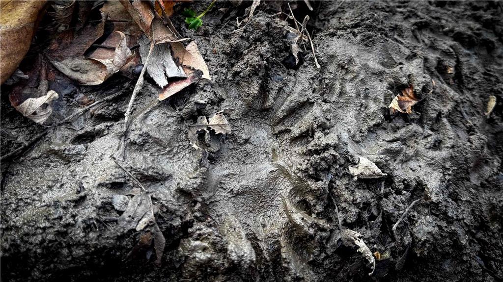 4 Rt Butler, MO 64730 - Photo 45 of 48