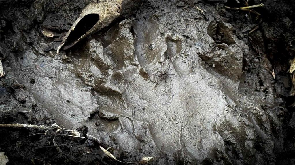 4 Rt Butler, MO 64730 - Photo 46 of 48