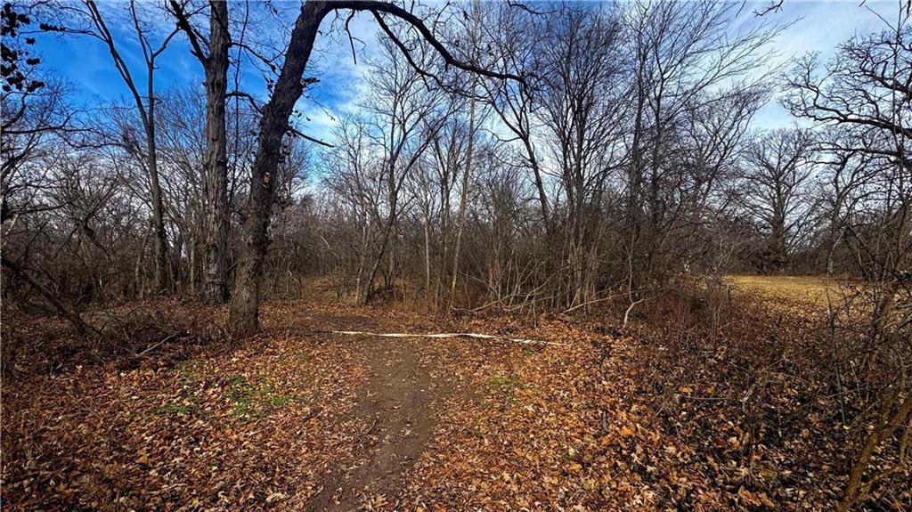 4 Rt Butler, MO 64730 - Photo 47 of 48