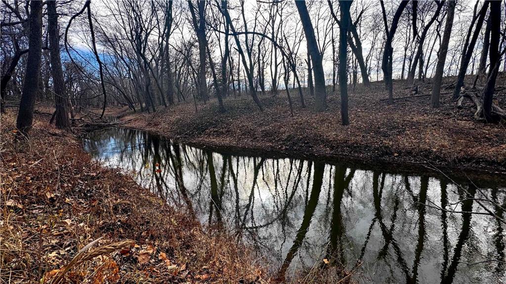 4 Rt Butler, MO 64730 - Photo 6 of 48