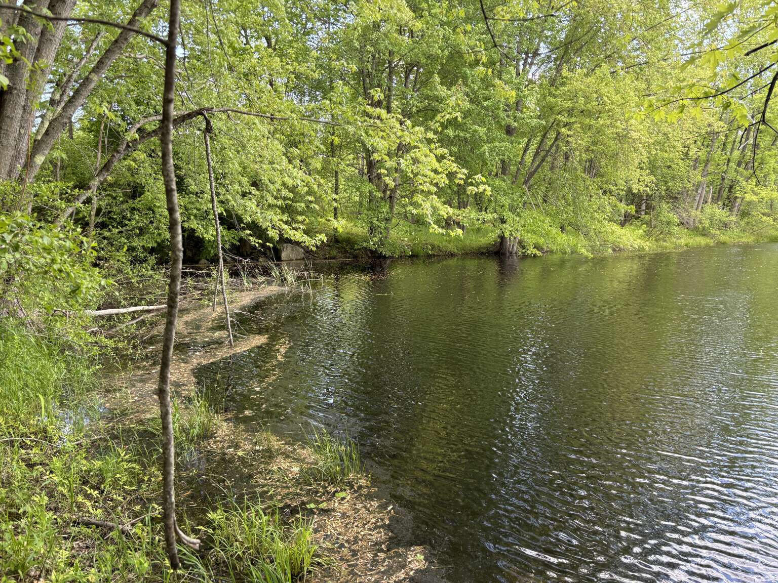 Lot A River Road Leeds, ME 04263 - Photo 7 of 19 Sargent.7