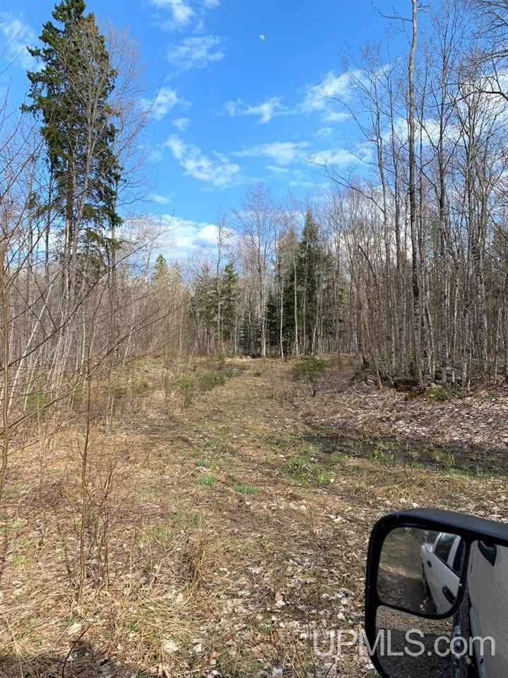 109 Orange Road, Unit 109 Michigamme, MI 49861 - Photo 3 of 13