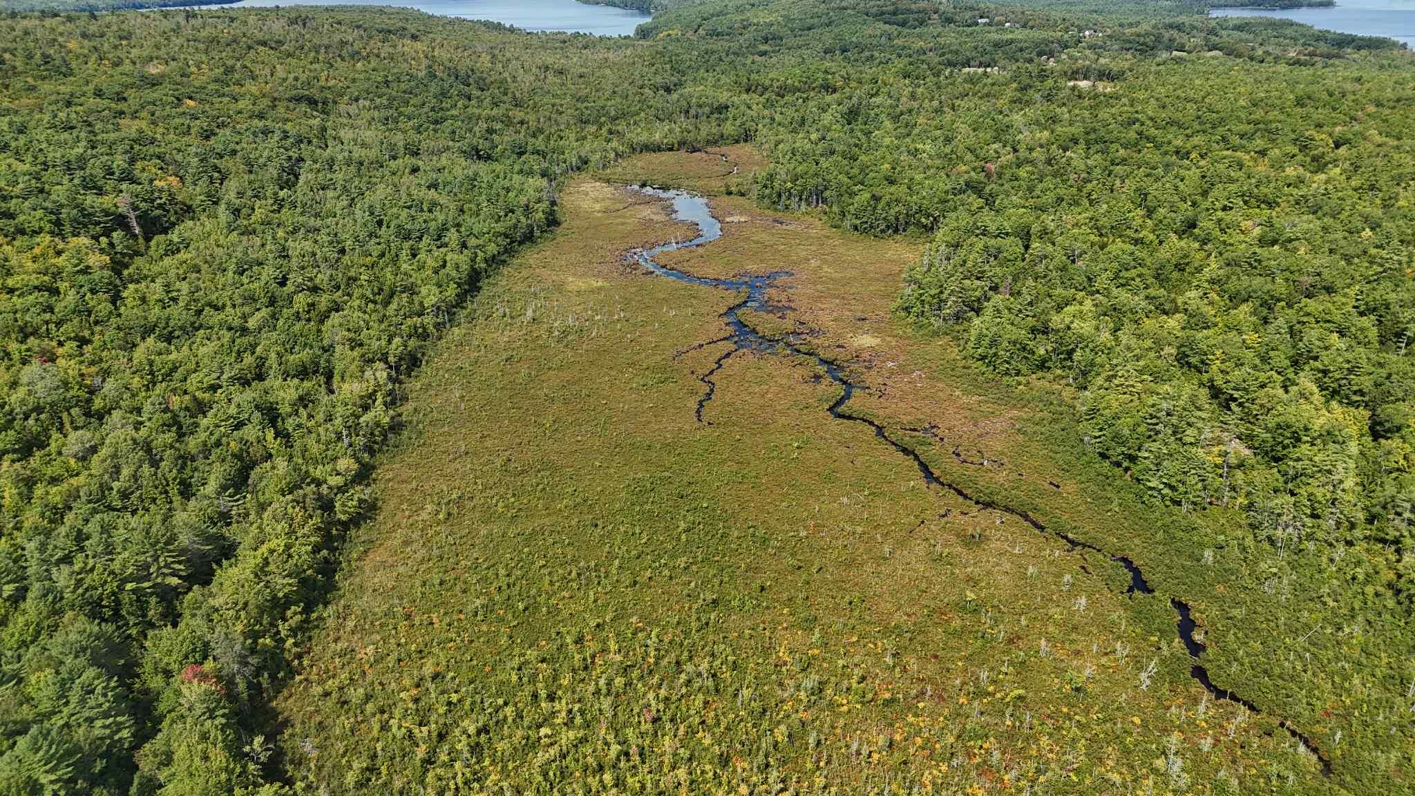 Lot 8 Bakerstown Road Poland, ME 04274 - Photo 18 of 21