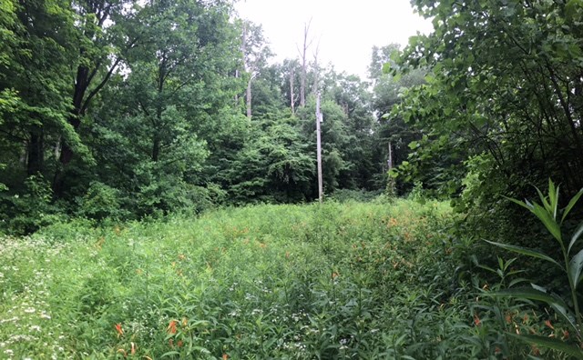 North Straight Line Road Freedom, IN 47431 - Photo 1 of 5 Gallery Image 1