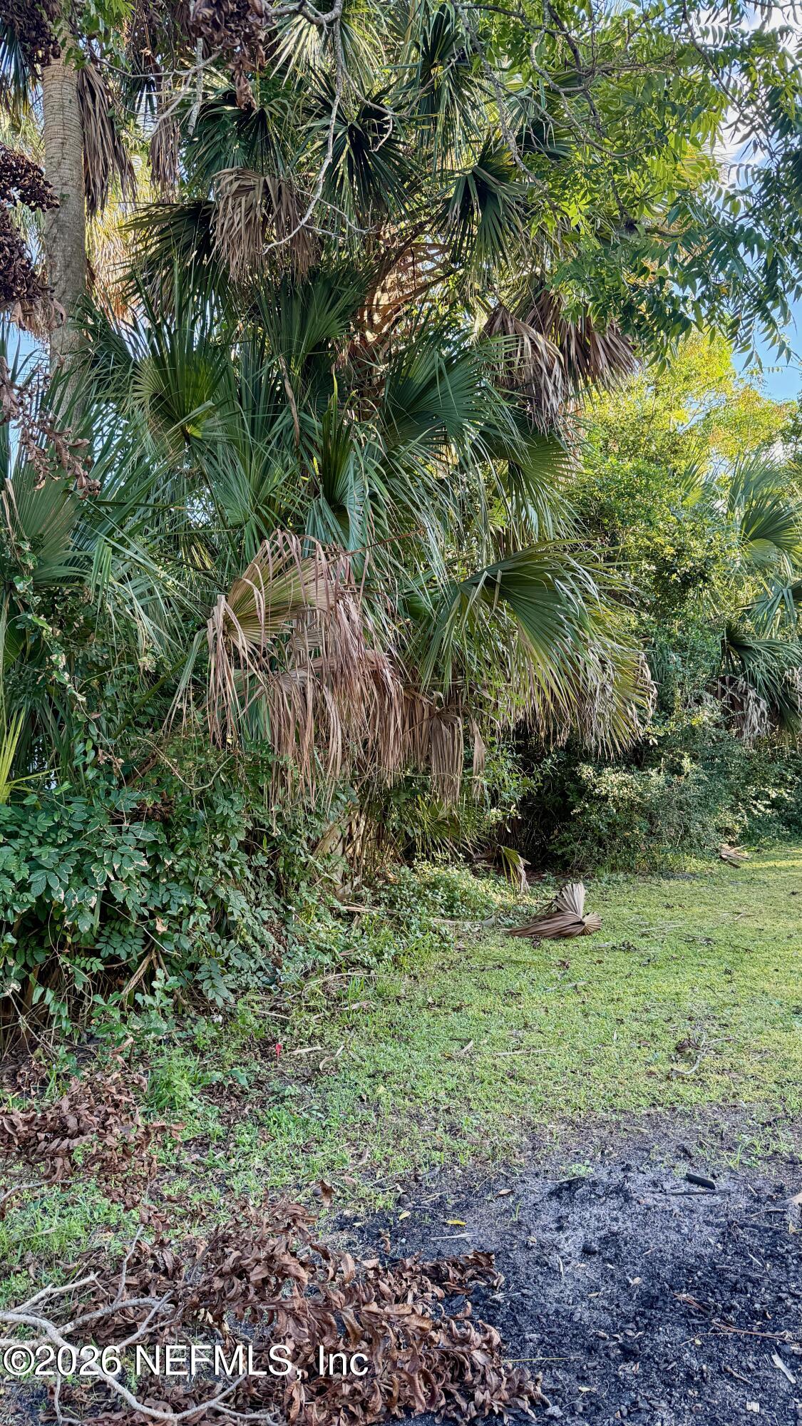 696 Kestner Road Atlantic Beach, FL 32233 - Photo 25 of 27 IMG_8394