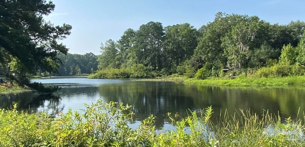 170 Circle Road Midway, GA 31320 - Photo 13 of 13