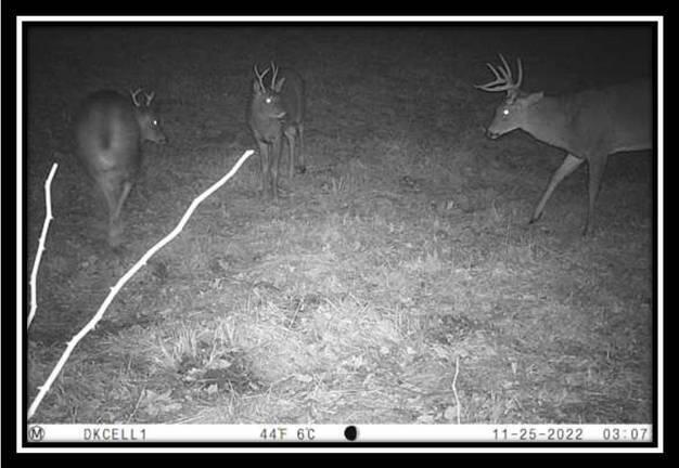 0 Maysville-Williams Road, Unit TRACT 1) Logan, OH 43138 - Photo 5 of 47 image005