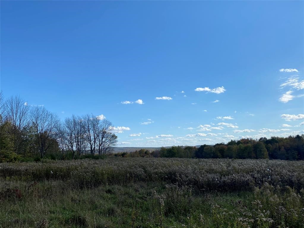 328 Watrus Road Greene, NY 13778 - Photo 14 of 28