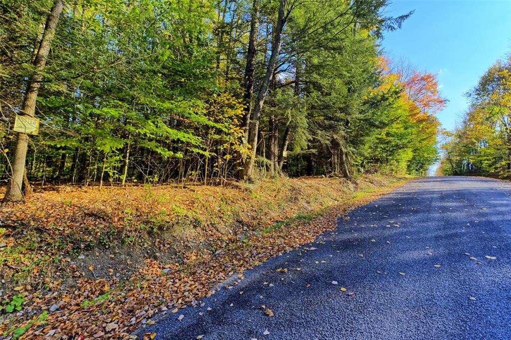 328 Watrus Road Greene, NY 13778 - Photo 16 of 28