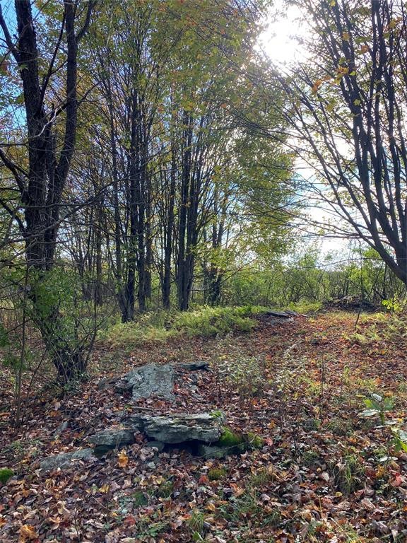 328 Watrus Road Greene, NY 13778 - Photo 18 of 28