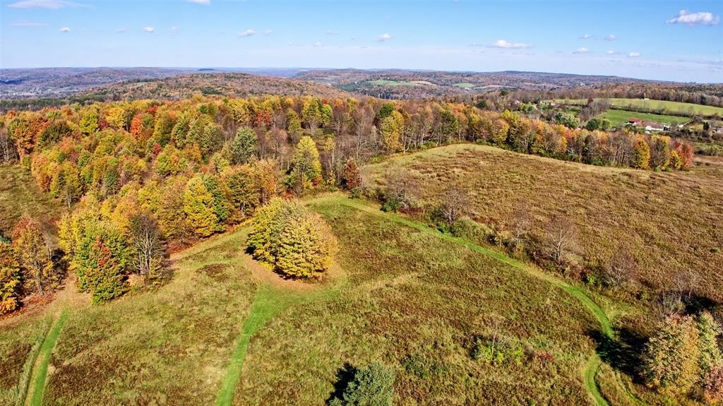 328 Watrus Road Greene, NY 13778 - Photo 3 of 28