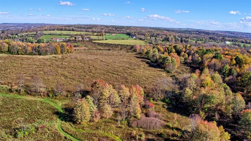 328 Watrus Road Greene, NY 13778 - Photo 4 of 28