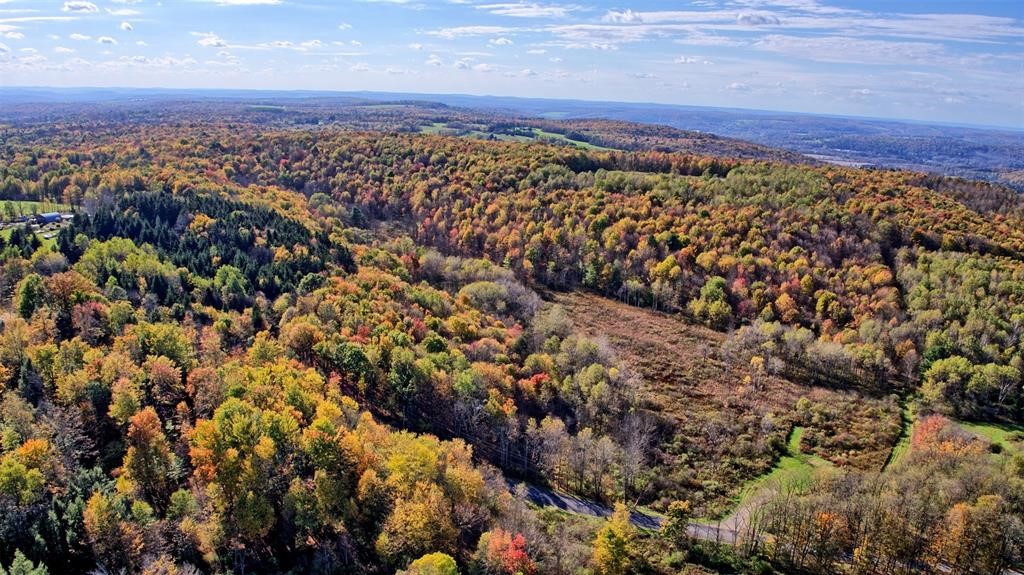 328 Watrus Road Greene, NY 13778 - Photo 6 of 28