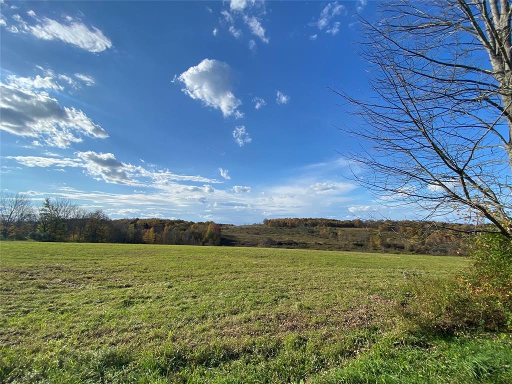 328 Watrus Road Greene, NY 13778 - Photo 9 of 28