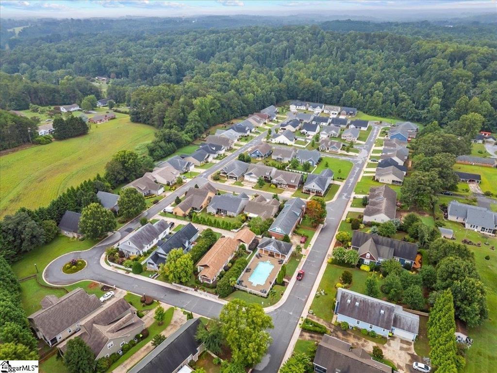 166 Page Creek Boulevard Landrum, SC 29356 - Photo 33 of 35