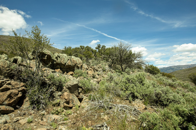 1646 North Miles Holw Road, Unit 29 Kamas, UT 84036 - Photo 14 of 35 Varied topography featuring rock formations, sparse trees, and scrub brush