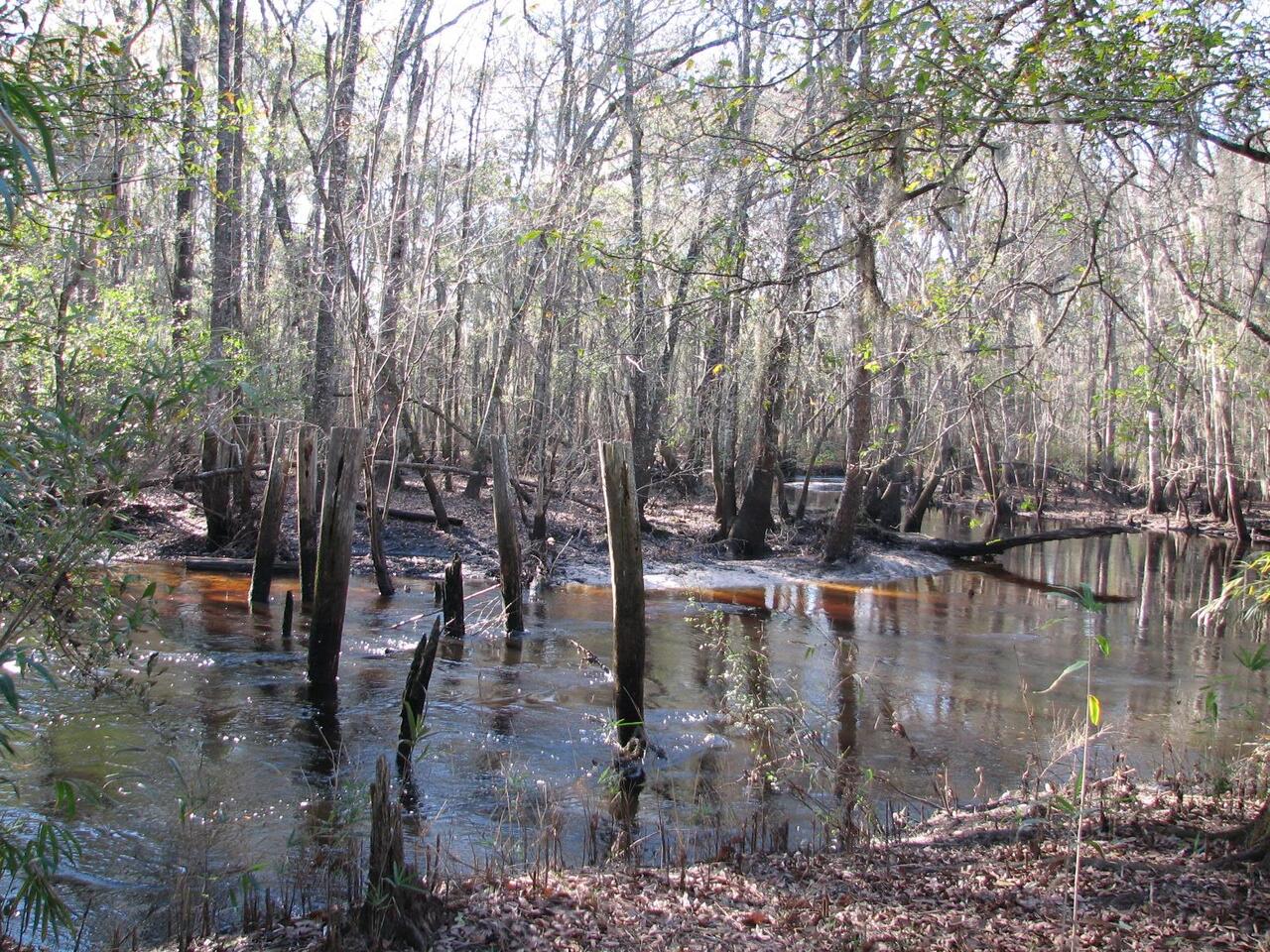 0 Twin Forks Road Pembroke, GA 31321 - Photo 1 of 1 a view of a lake with trees