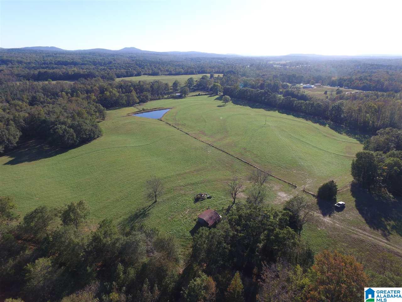 567 Dial Road Blountsville, AL 35031 - Photo 23 of 46