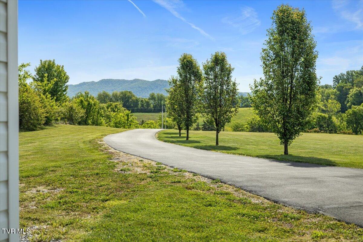 563 Mayberry Road Jonesborough, TN 37659 - Photo 81 of 95 79-128A7688
