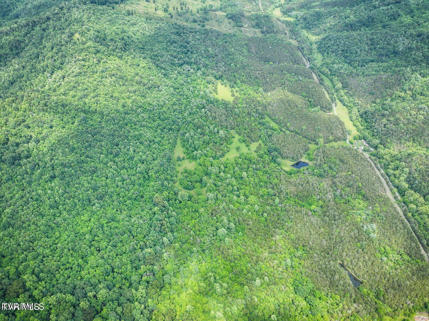 0 War Creek Road Eidson, TN 37731 - Photo 12 of 21 20230712180607979259000000-o