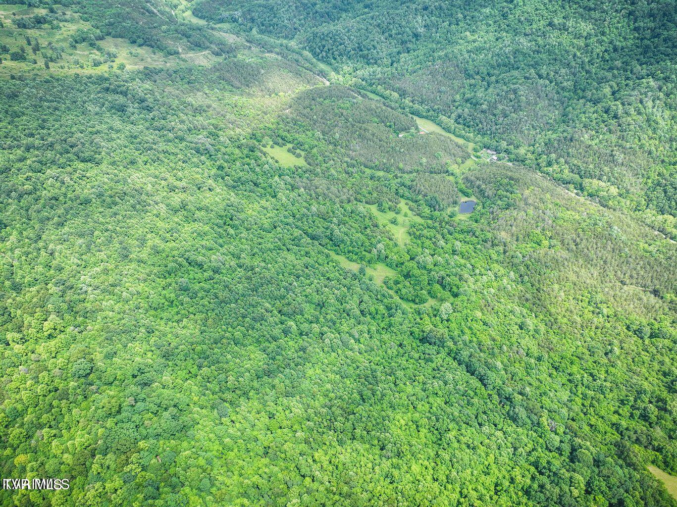 0 War Creek Road Eidson, TN 37731 - Photo 13 of 21 20230712180612466852000000-o