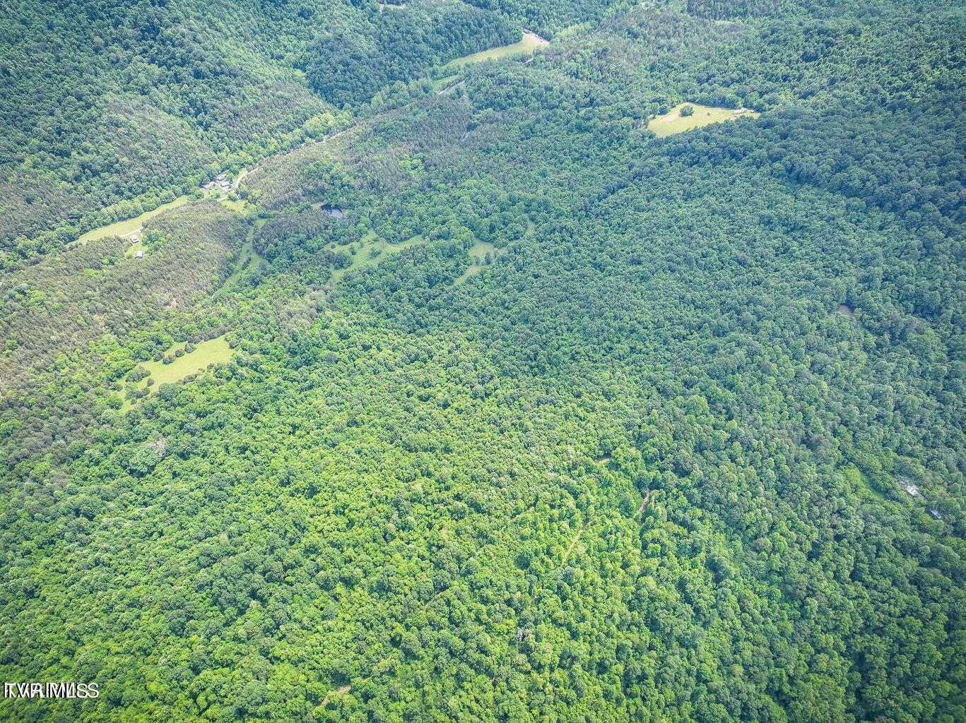 0 War Creek Road Eidson, TN 37731 - Photo 15 of 21 20230712180621233970000000-o