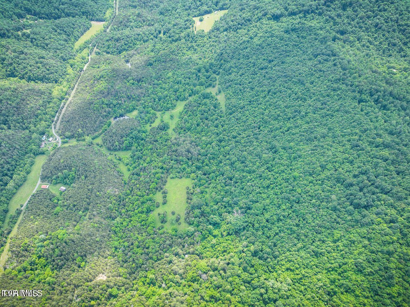 0 War Creek Road Eidson, TN 37731 - Photo 16 of 21 20230712180625793548000000-o