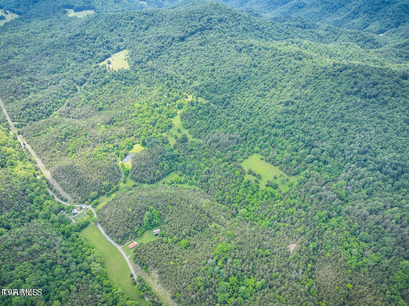 0 War Creek Road Eidson, TN 37731 - Photo 17 of 21 20230712180629972964000000-o