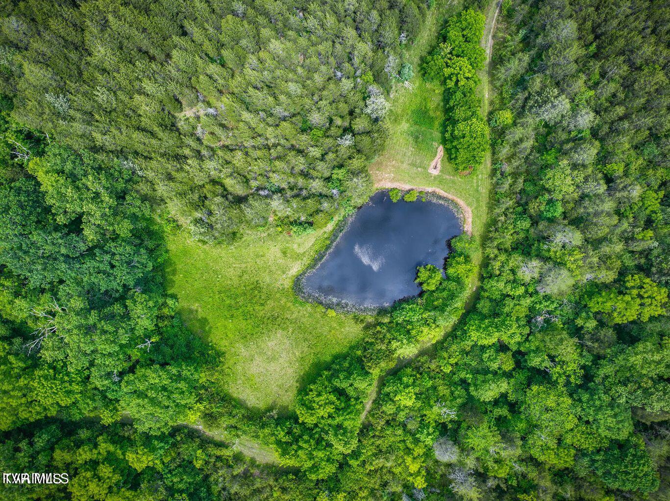 0 War Creek Road Eidson, TN 37731 - Photo 3 of 21 20230712180530605768000000-o