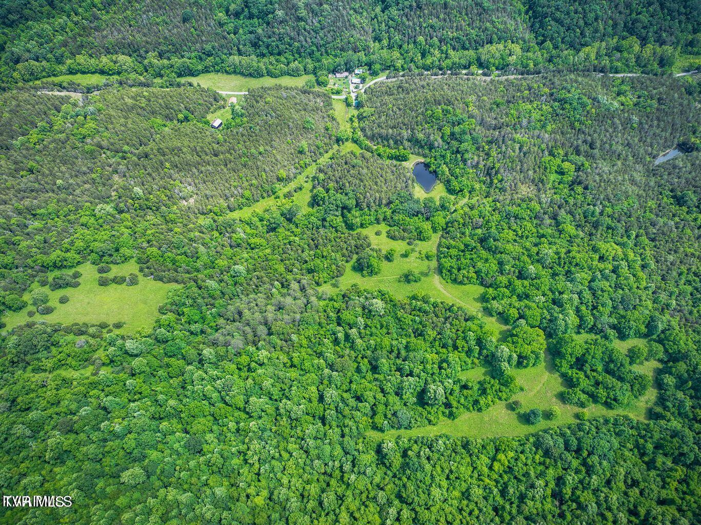 0 War Creek Road Eidson, TN 37731 - Photo 4 of 21 20230712180535521653000000-o