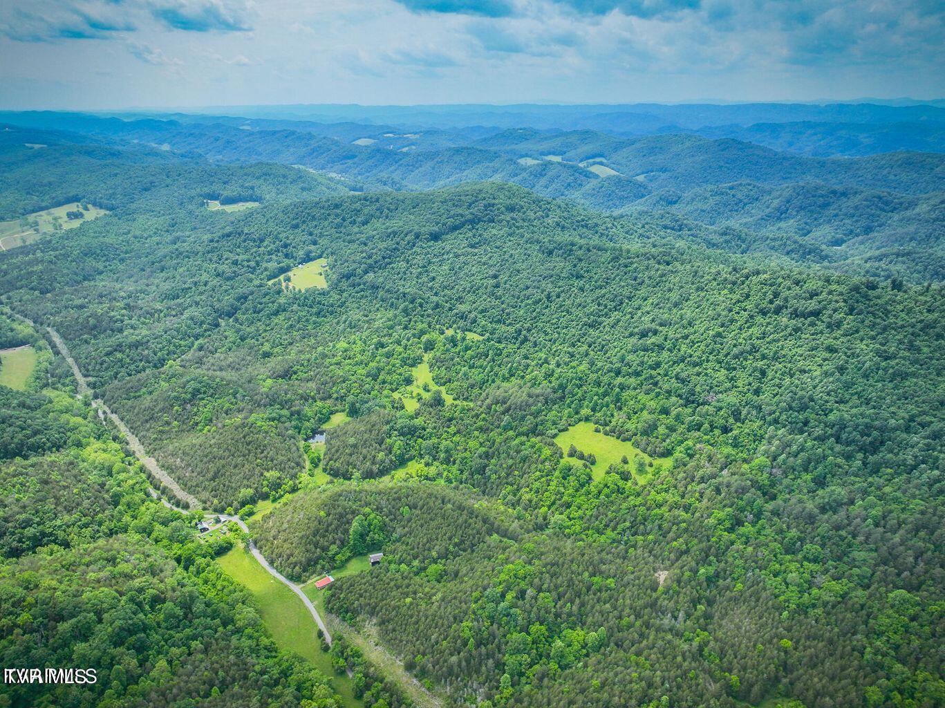 0 War Creek Road Eidson, TN 37731 - Photo 8 of 21 20230712180551261271000000-o