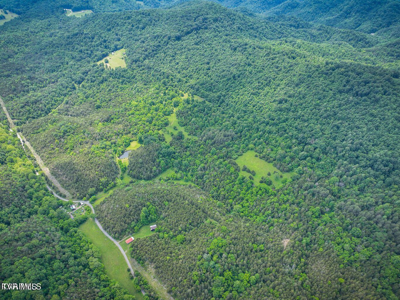 0 War Creek Road Eidson, TN 37731 - Photo 9 of 21 20230712180555290933000000-o